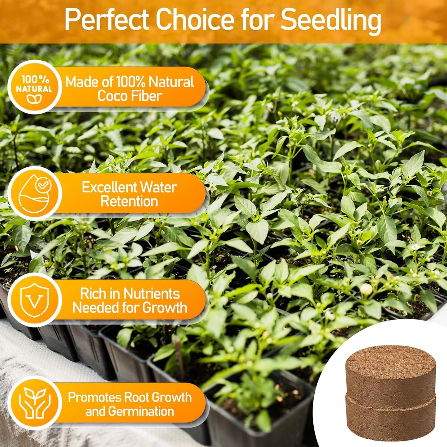 Legigo 50 Pcs 30mm Coco Coir Pellets Seed Starting Soil Mix- Compressed Coconut Coir Pellets Potting Soil Pods for Seedling, Coco Peat Soil Discs for Indoor & Outdoor Plants, Herb Vegetables Flowers