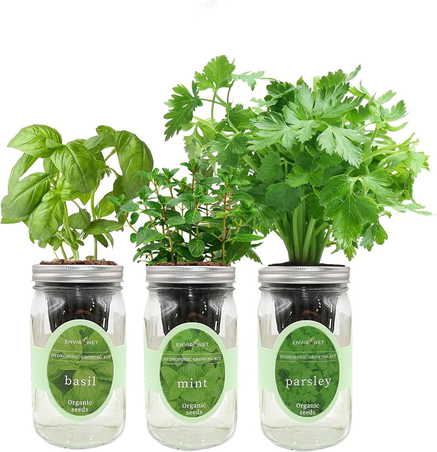 Hydroponic Herb Growing Kit Set, Self-Watering Mason Jar Herb Garden Starter Kit Indoor, Windowsill Herbs Garden, Grow Your Own Herbs from Organic Seeds (Basil, Mint, Parsley)