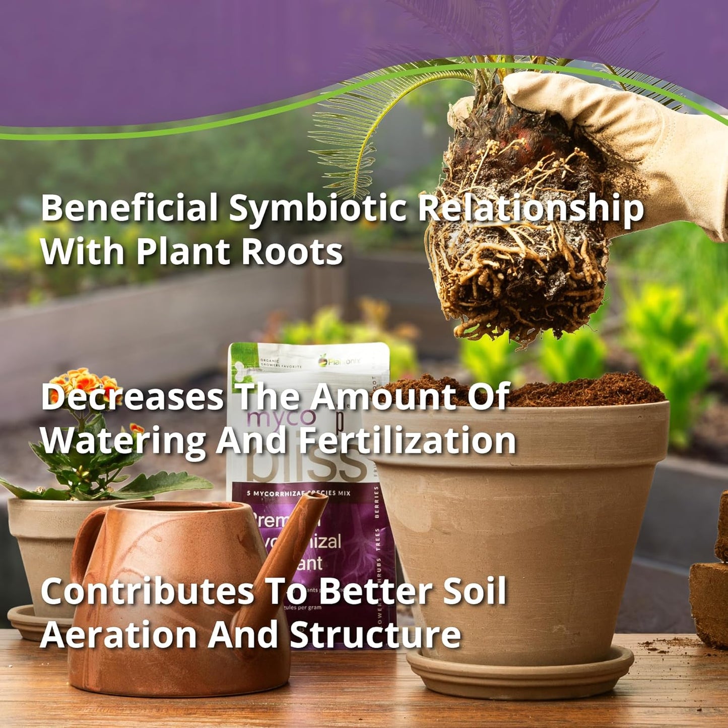 Myco Bliss Powder (2lbs) - Mycorrhizal Fungi for Soil - 5 Strain Mycorrhizal Inoculant with 1000 Propagules Per Gram - Highly Concentrated Mycorrhizae for Plants, Potting Soil, & Garden Soil