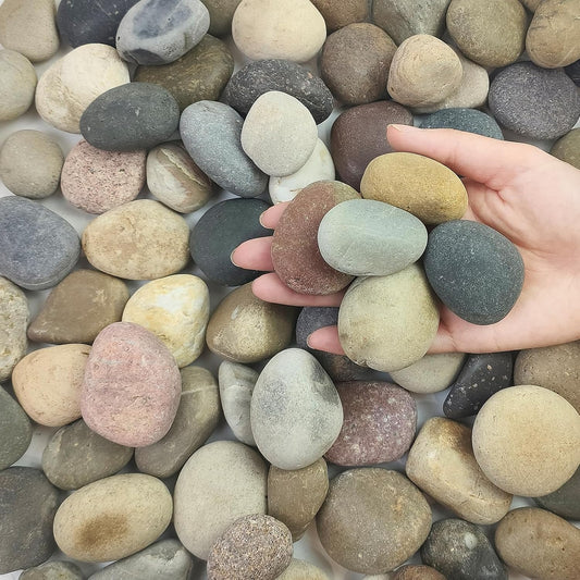 5 lbs Pebbles for Plants, 1-2 Inch Decorative River Rocks for Plants Indoor, Landscape, Garden, Aquarium, Fountain, Walkways and Outdoor Decorative Stones