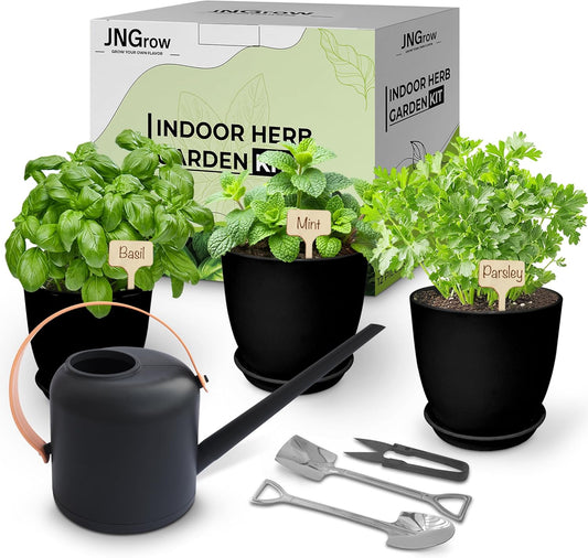 Indoor Garden Kit - Plant Pots with Drainage, Watering Can & Tools - Ideal Windowsill Planter Set - Modern Home & Kitchen Decor Gift - Black