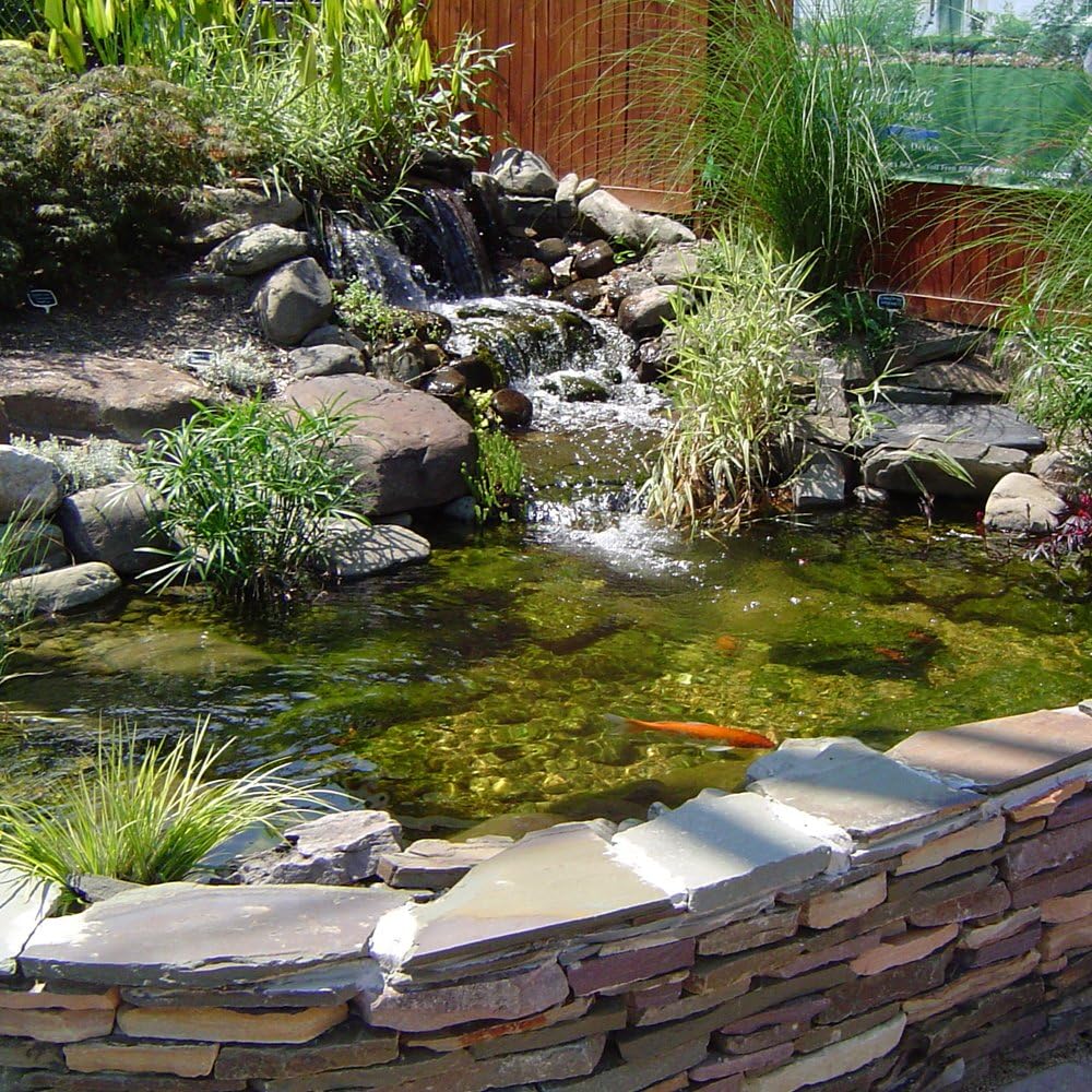 Pond Armor SKU-TAN-3GA Non-Toxic Pond Shield Epoxy Paint, 3-Gallon, Tan, 384 Fl Oz (Pack of 1)