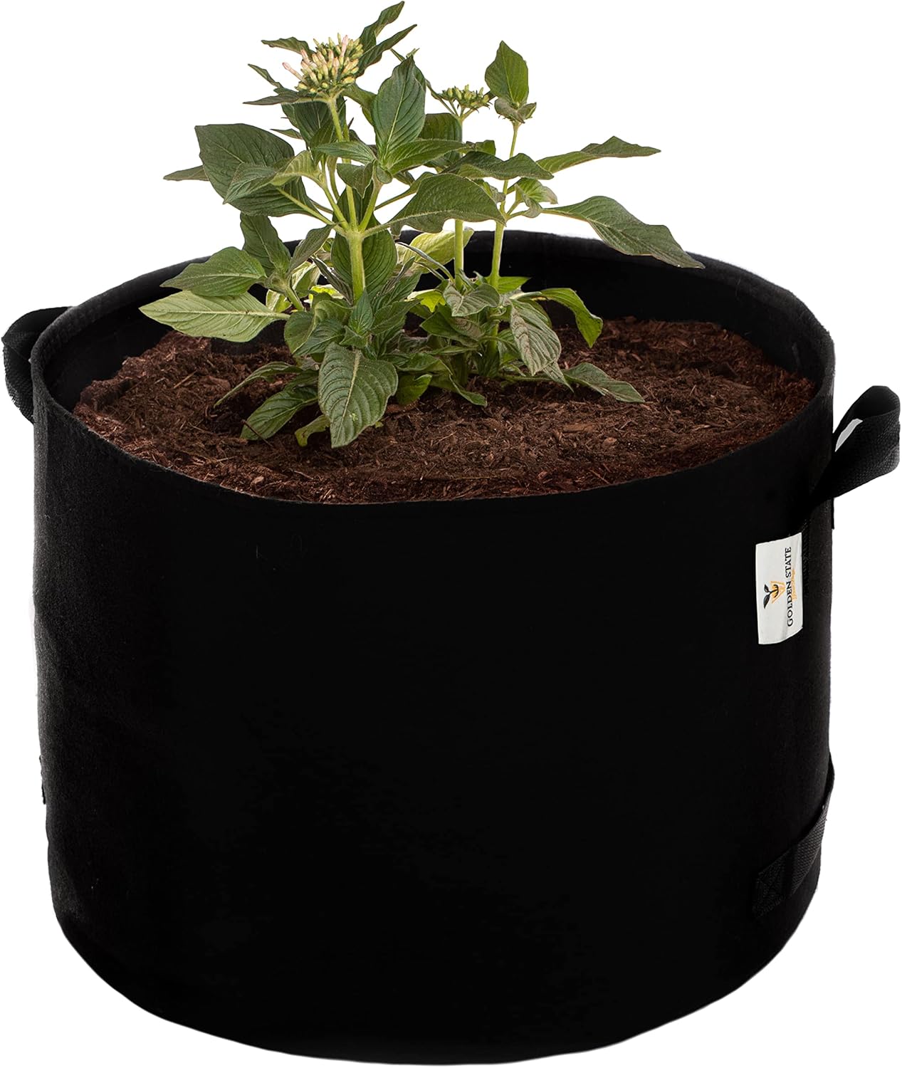 Grow Bags: 5-Pack (Size: 10 Gallon): 300gsm Black Felt Fabric, Biodegradable and eco-Friendly Material. (Handles + Dumping Handles-pat.Pend).