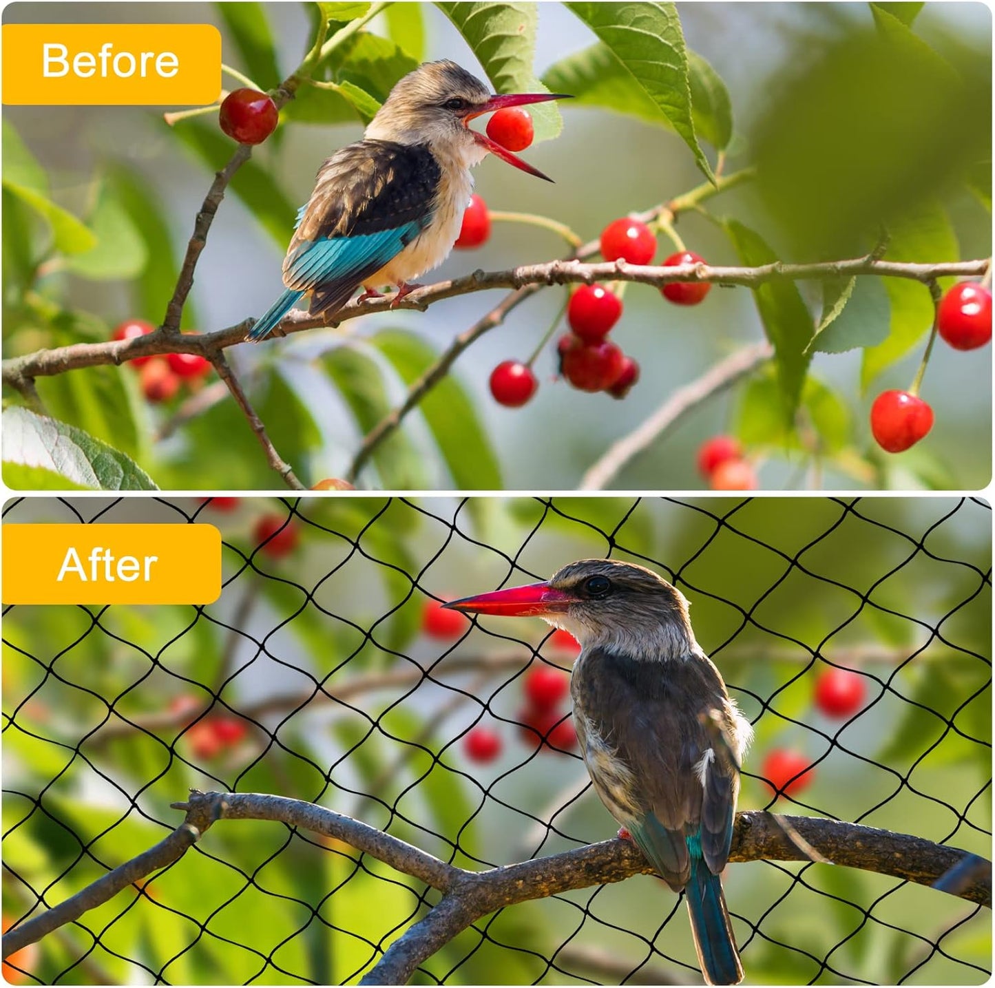 Bird Net 25'x50' with 1" Mesh Nylon Bird Netting for Garden, Poultry Netting Heavy Duty Aviary Netting Chicken Coop Netting, Garden Netting Deer Fence Netting for Fruit Tree, Pests Trellis Net