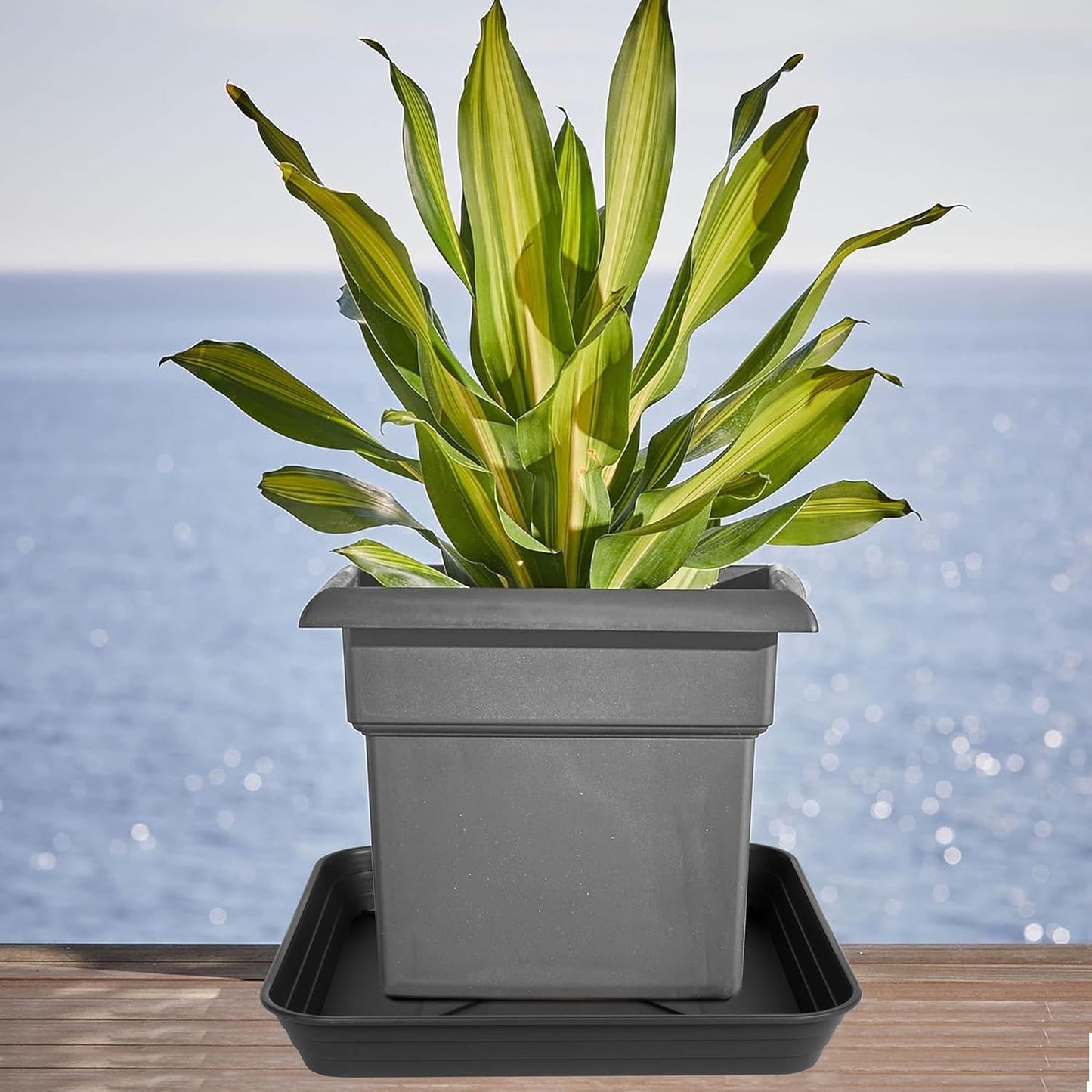 3 Pack Square Plant Saucer Tray 20 inch, Heavy Duty Plastic Plant Saucers for Indoors Outdoor, Flower Plant Drip Trays for Pots, Square Seed Starting Tray, Seedling Growing Trays