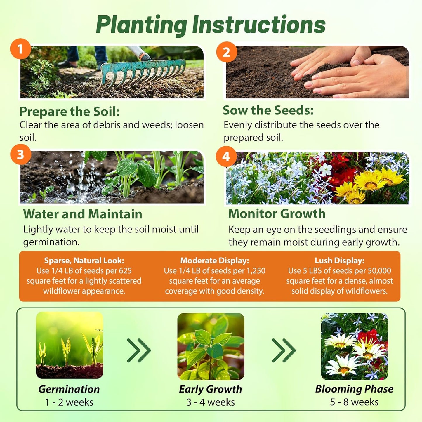 Outsidepride Low Growing Wildflower Seeds - 1/4 lb Dwarf, & Short, Diverse Perennial & Annual Wild Flower Seed Mix with Long Bloom Season for Colorful Display That Thrives on All States