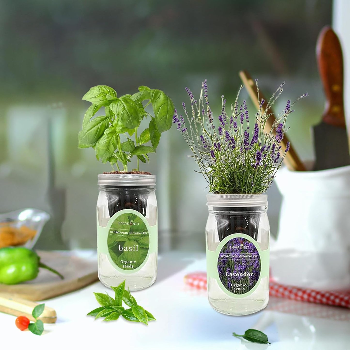 2-Pack Hydroponic Mason Jar Herb Garden Kit, Indoor Herb Garden Self-Watering Starter Kit (Basil,Lavender)