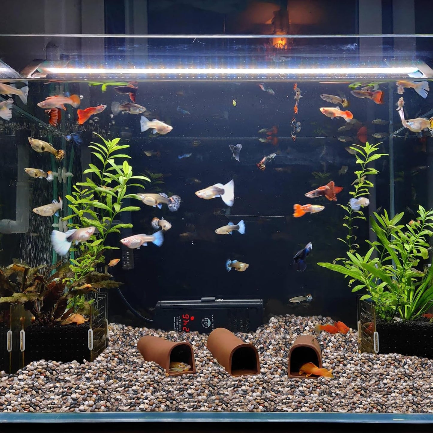 Calofulston 30lb Pebbles, 3/8 Inch Small Pebbles for Indoor Plants, Aquariums, Bamboo, Succulent, Vase, Outdoor Landscaping, Decorative Polished Plant Rocks for Pots Indoor, Mixed Color