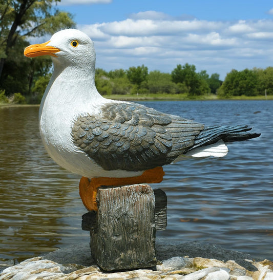 Coolboy Real Seagull Figurine - Garden Bird Statue, Decorations for Home & Outdoor Patio