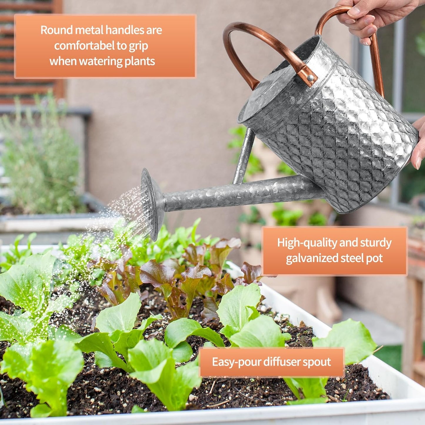 1 Gallon Metal Watering Can for Outdoor Indoor Plants, Galvanized Watering Can with Removable Spray Spout, Ideal for Garden Watering