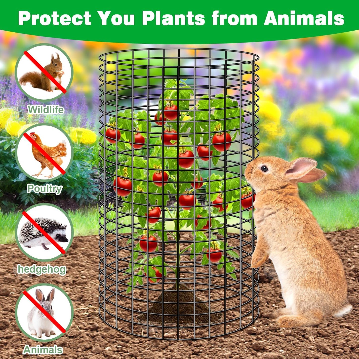 10 Pcs 11.8"x 11.8"/11.8"x 19.6" Available Chicken Wire Cloches for Plants, Plant Protector from Animal, Garden Covers Netting Iron Wire Mesh to Protect Plants Vegetables from Rabbit Squirrel Chicken