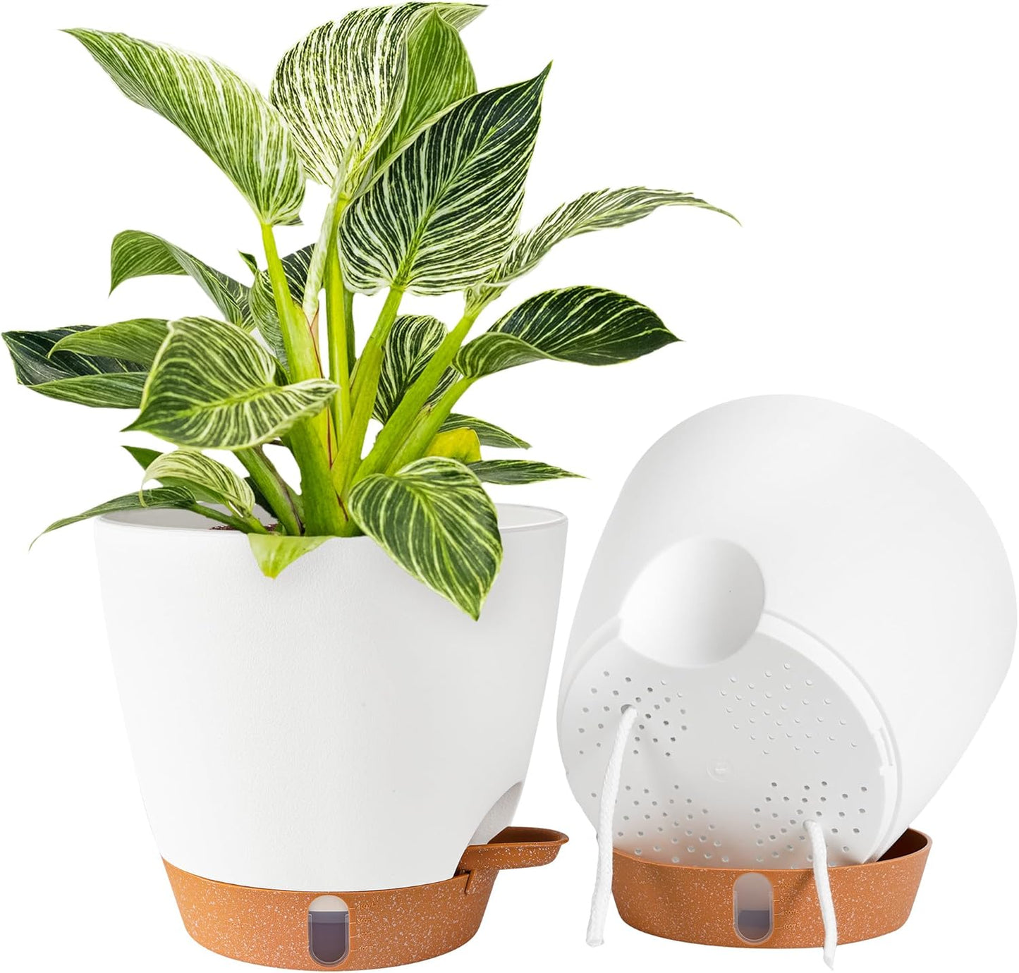 2 Pack 8 Inch Pots for Plants Indoor, Plastic Self Watering Planters with Drainage Holes, Water Level Indicator & Deep Reservoir, Decorative Flower Pots Indoor Outdoor Use (White