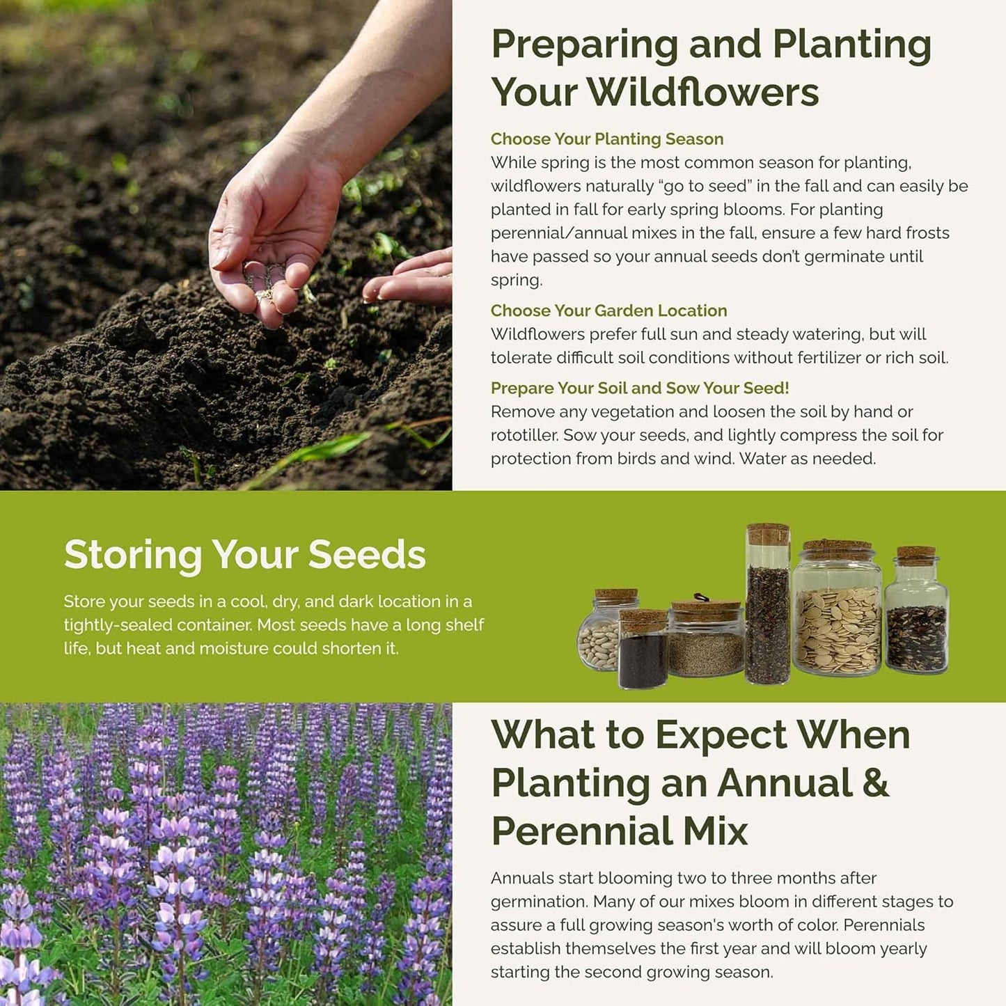 Eden Brothers Lupine Flower Mixed Seeds for Planting, 5 lb, 2,400,000+ Seeds with Russell, Arroyo, Yellow, Sky Lupine | Attracts Pollinators, Plant in Spring or Fall, Zones 3, 4, 5, 6, 7, 8, 9, 10