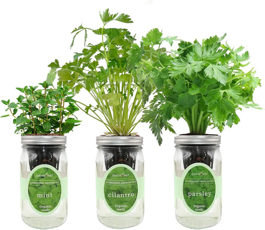 Hydroponic Herb Growing Kit Set, Self-Watering Mason Jar Herb Garden Starter Kit Indoor, Windowsill Herbs Garden, Grow Your Own Herbs from Organic Seeds (Mint, Cilantro and Parsley)