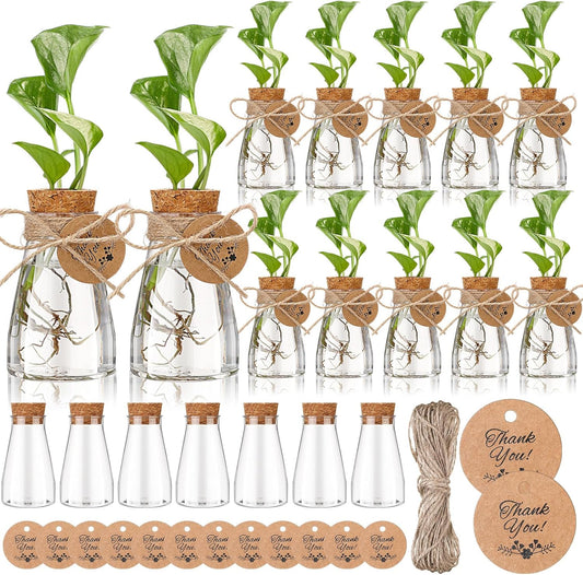 Baderke 24 Pack 3.35'' Plastic Plant Propagation Stations with Hole Lid Planter Vase Clear Propagation Jars with Thank You Tags for Plant Lover Gifts for Women Office Home Garden (Cute)