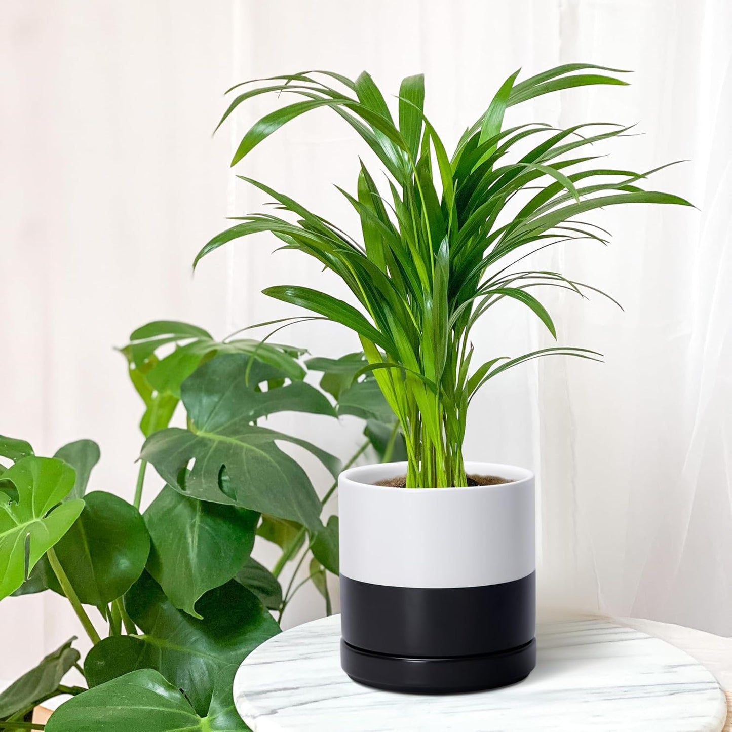 D'vine Dev 6.5 Inch Ceramic Planter Pot with Drainage Hole and Saucer, Indoor Cylinder Round Planter Pot, Layered Monochrome Black & White, 94-O-C-L