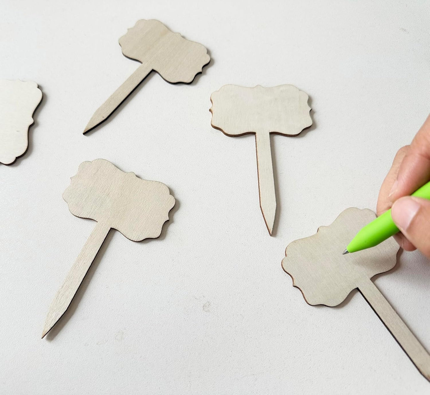 100 Pcs Wood Plant Labels, Natural Wooden Plant Marker Garden Sign Tags, T-Type Garden Markers for Succulents, Herbs, Seedlings, Potted, Flowers, Vegetables (Polygon)