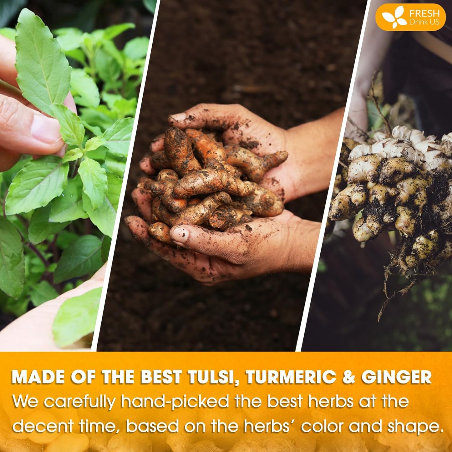 FreshDrinkUS, Premium 35 Tulsi Turmeric Ginger Tea Bags, 100% Natural & Pure from Tulsi Holy Basil Leaves, Turmeric and Ginger. Made with Natural Material Tea Bags. No Sugar, No Caffeine, Vegan.