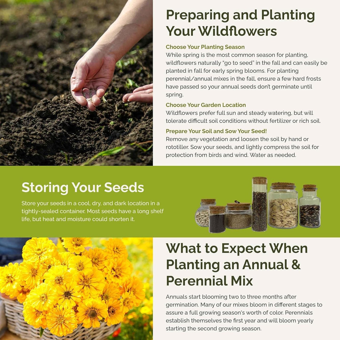 Eden Brothers Fiery Flower Mixed Seeds for Planting, 1 lb, 480,000+ Seeds with Zinnia Scarlet Flame, Plains Coreopsis | Attracts Pollinators, Plant in Spring or Fall, Zones 3, 4, 5, 6, 7, 8, 9, 10