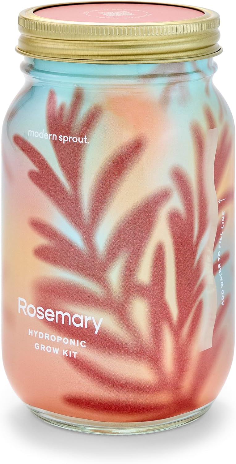 Modern Sprout Mason Garden Jar - Self-Watering Hydroponics Growing System Kit with Organic Herb Seeds - Jar Planter for Indoor Herb Garden - Seed Starter Kit - Home Decor & Gifting - Rosemary