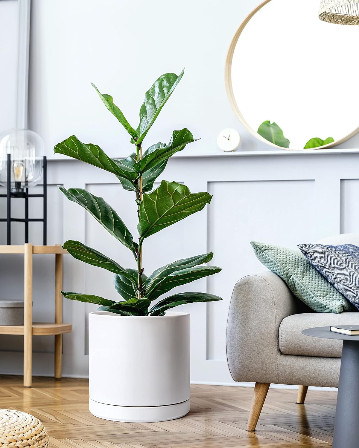 D'vine Dev 12 Inch Ceramic Planter Pot with Drainage Hole and Saucer, Indoor Cylinder Round Planter Pot, White, 94-O-F-1