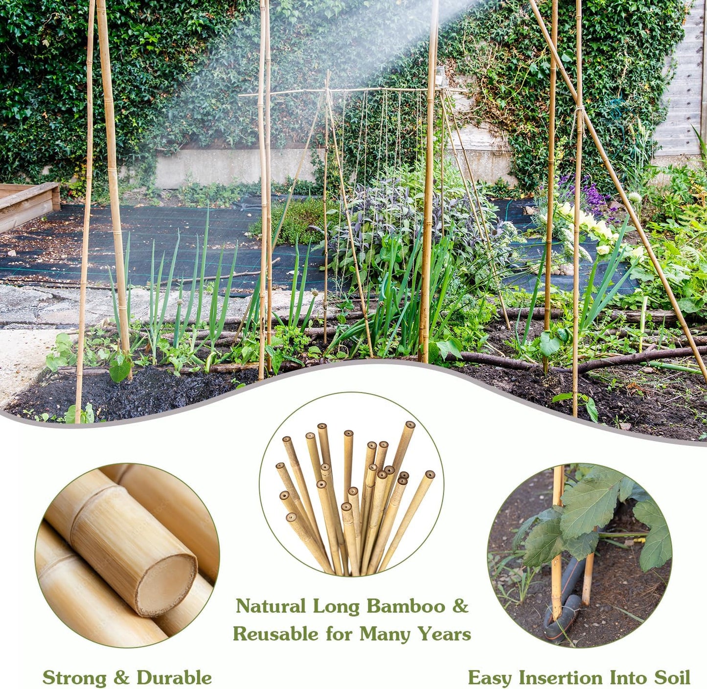 Plant Stakes 4.8FT, Natural Bamboo Stakes, HAINANSTRY 20Pcs Sturdy Bamboo Garden Stakes, Bamboo Sticks for Plants, Beans, Indoor and Outdoor Climbing Plants, Tomato Vegetable Stakes for Garden