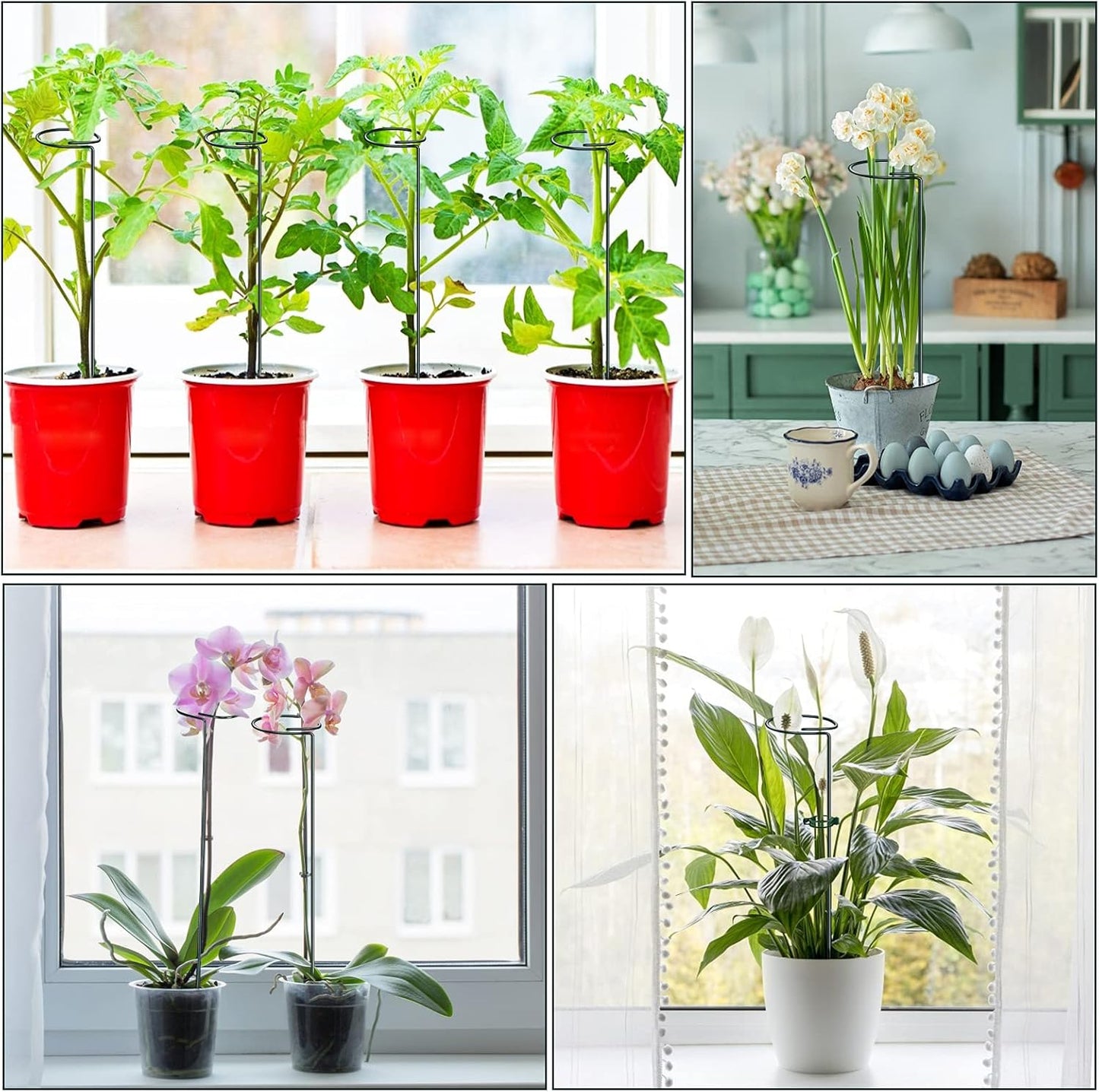 16 Inch Plant Support Stakes (Pack of 7), Garden Single Stem Amaryllis Flower Stake, Metal Plant Cage Support Rings Plants Support Sticks with 10 PCS Plant Clips