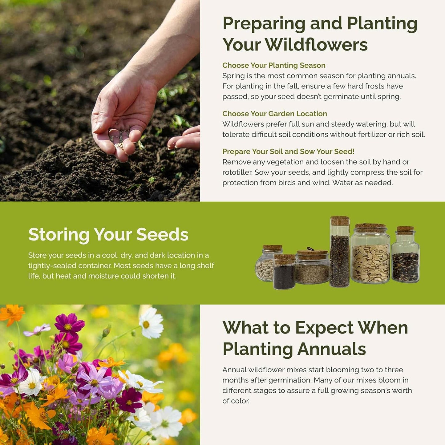 Eden Brothers All Annual Wildflower Mixed Seeds for Planting, 1 lb, 480,000+ Seeds with Sunflower, Indian Blanket, Scarlet Flax | Attracts Pollinators, Plant in Spring, Zones 3, 4, 5, 6, 7, 8, 9, 10