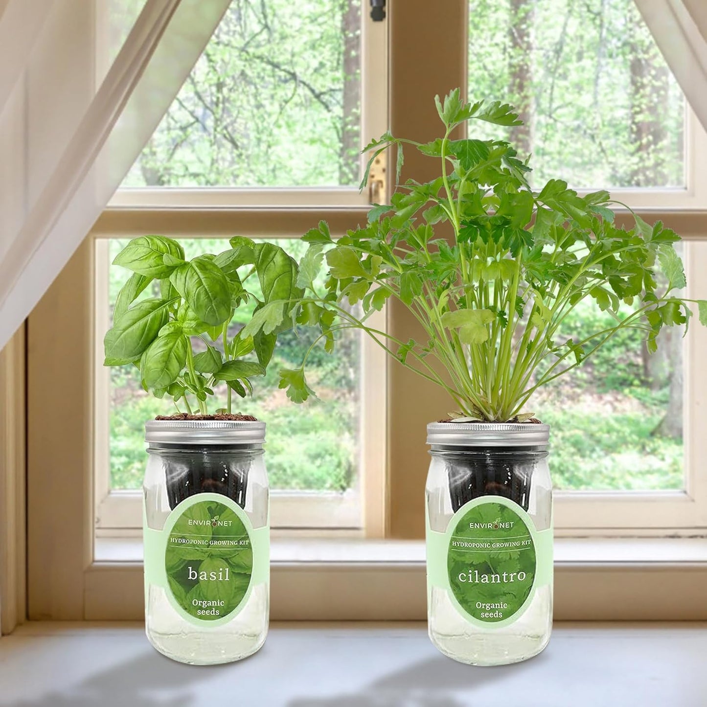 2-Pack Hydroponic Mason Jar Herb Garden Kit, Indoor Herb Garden Self-Watering Starter Kit (Basil,Cilantro)