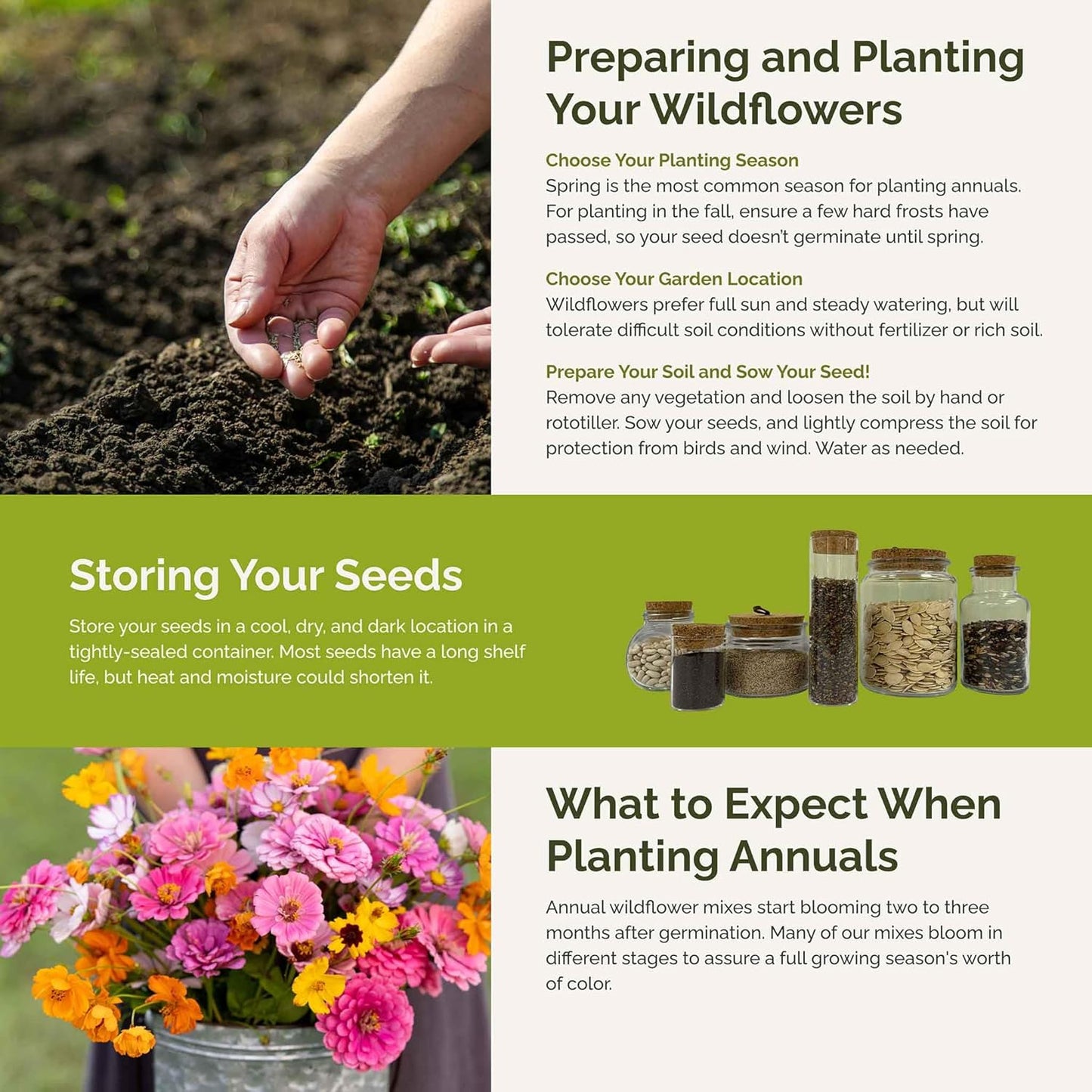 Eden Brothers Orange Sherbet Flower Mixed Seeds for Planting, 5 lb, 2,400,000+ Seeds with Cosmos Picotee, Bright Lights | Attracts Pollinators, Plant in Spring or Fall, Zones 3, 4, 5, 6, 7, 8, 9, 10