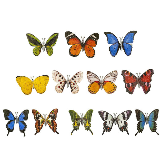 YCHTEWY-Decorative Butterfly Hair Clips, 12-Pack, Multicolor Garden Decor