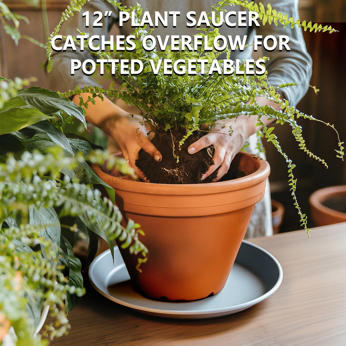 6 Pack 12 Inch Large Gray Plant Saucer Trays, Durable Heavy Duty Plastic PP Planter Bases, Round Water Catcher Plates and Drip Trays for Indoor Outdoor Gardening