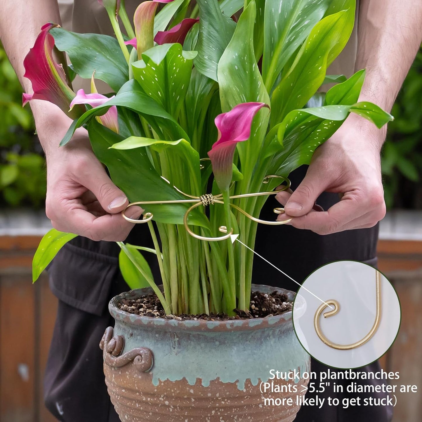 5PCS Monstera Plant Stem Support Stakes - 5.5 * 5.5IN Metal Supports for Monstera and Fishbone Cactus, Sturdy Frame, Easy Installation, Flexible Protection for Healthy Growth Indoors