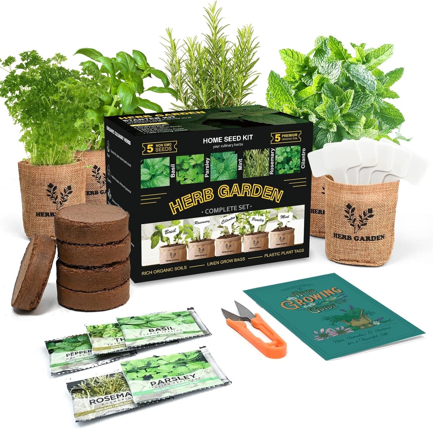 Indoor Herb Garden Starter Kit, 5 Non-GMO Herb Seeds - Basil, Parsley, Rosemary, Thyme, and Mint with Complete Planting Set for Kitchen Herb Garden DIY
