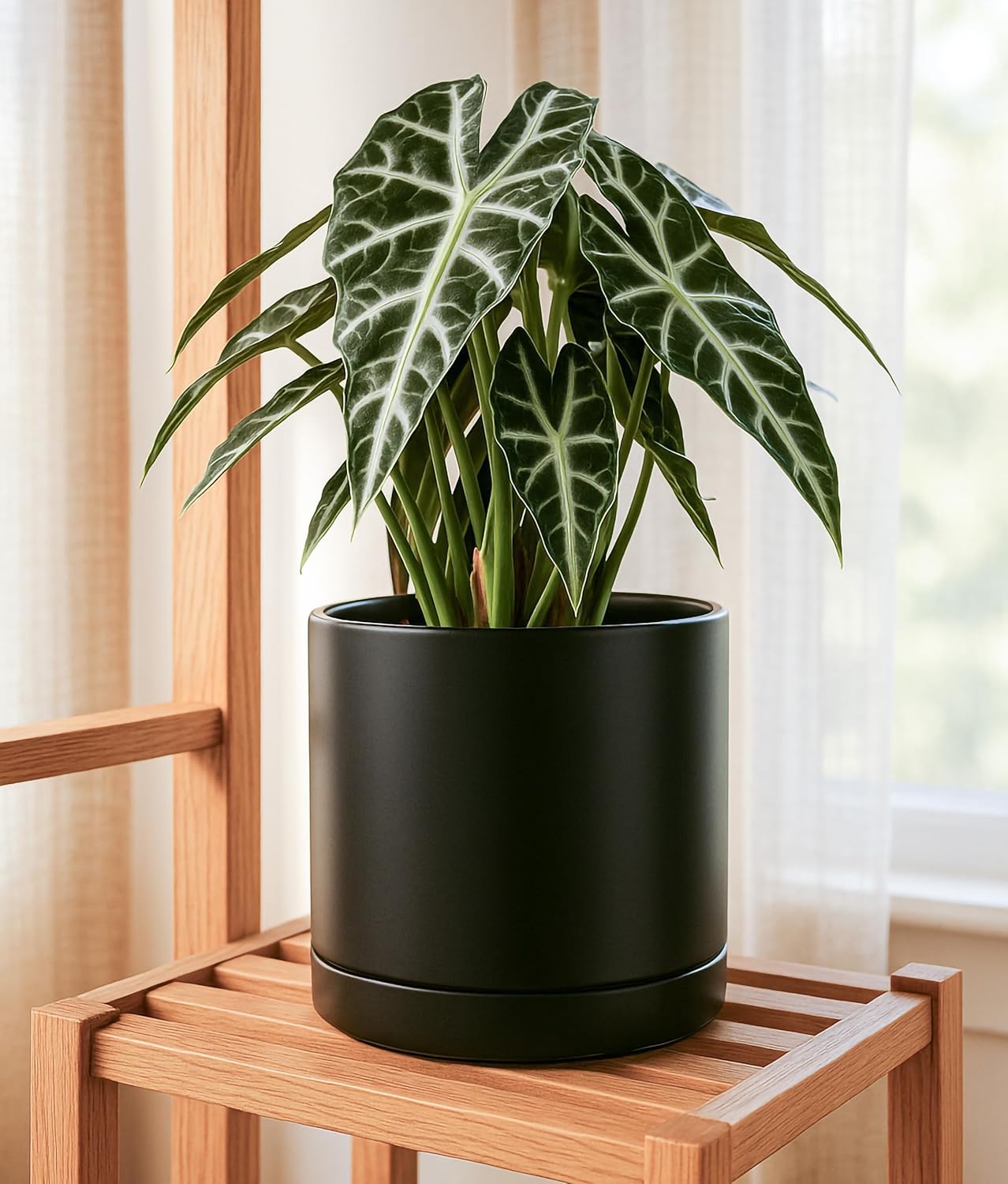 D'vine Dev 10 Inch Ceramic Planter Pot with Drainage Hole and Saucer, Indoor Cylinder Round Planter Pot, Black, 94-O-E-2