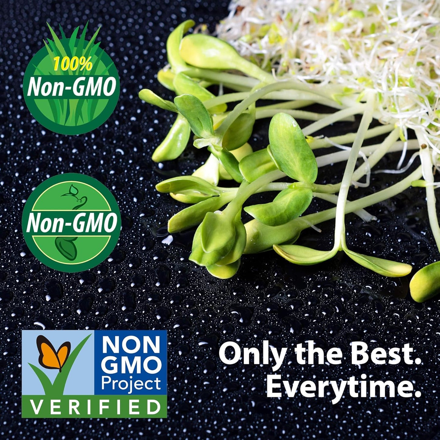 Buckwheat Seeds - 1 Lb ~15,000 Seeds - Organic, Non-GMO, Whole (Shell On) - Grow Buck Wheat Microgreens