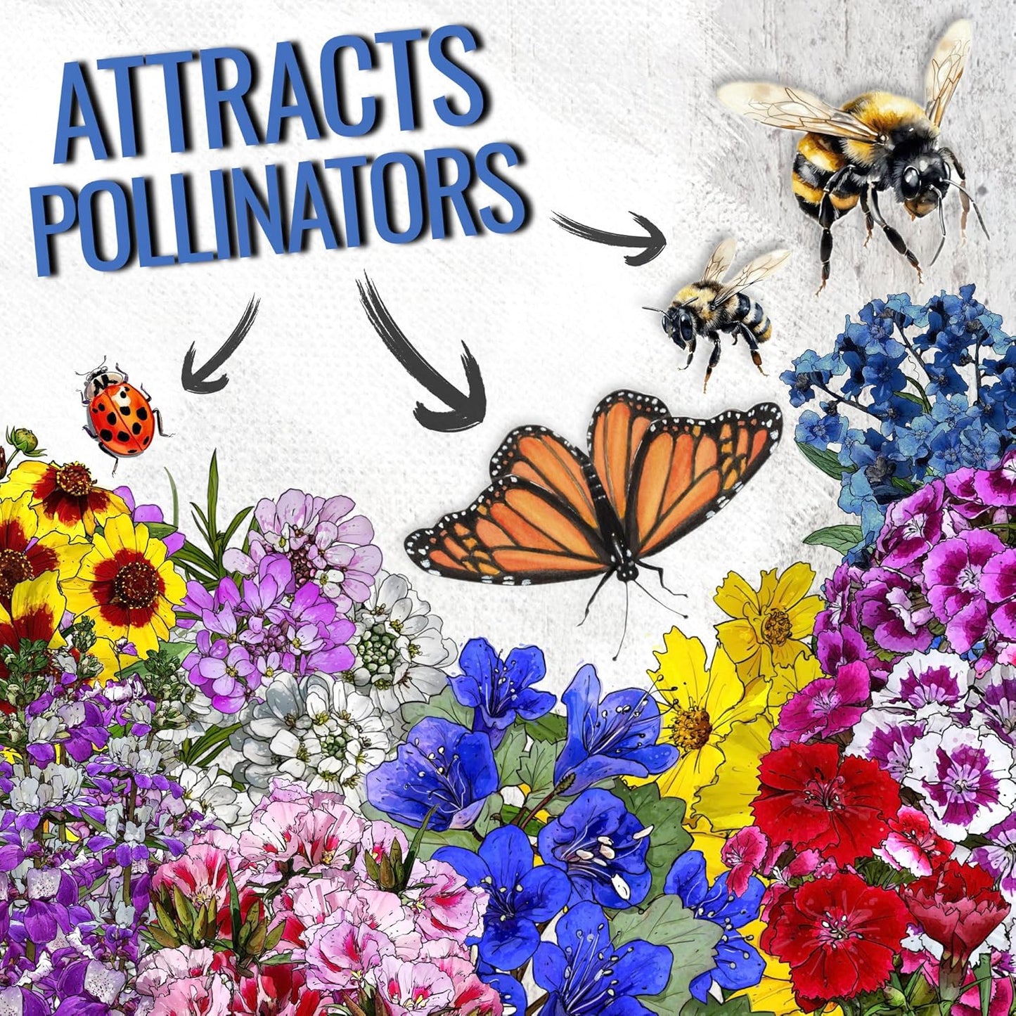 Seed Needs Low Growing Wildflower Flower Seeds for Planting | 10 Packs (1 Ounce Each) Mixture/Blend 17 Varieties | Resealable Package Multicolored Blooms Open Pollinated Mixed Species | Bulk