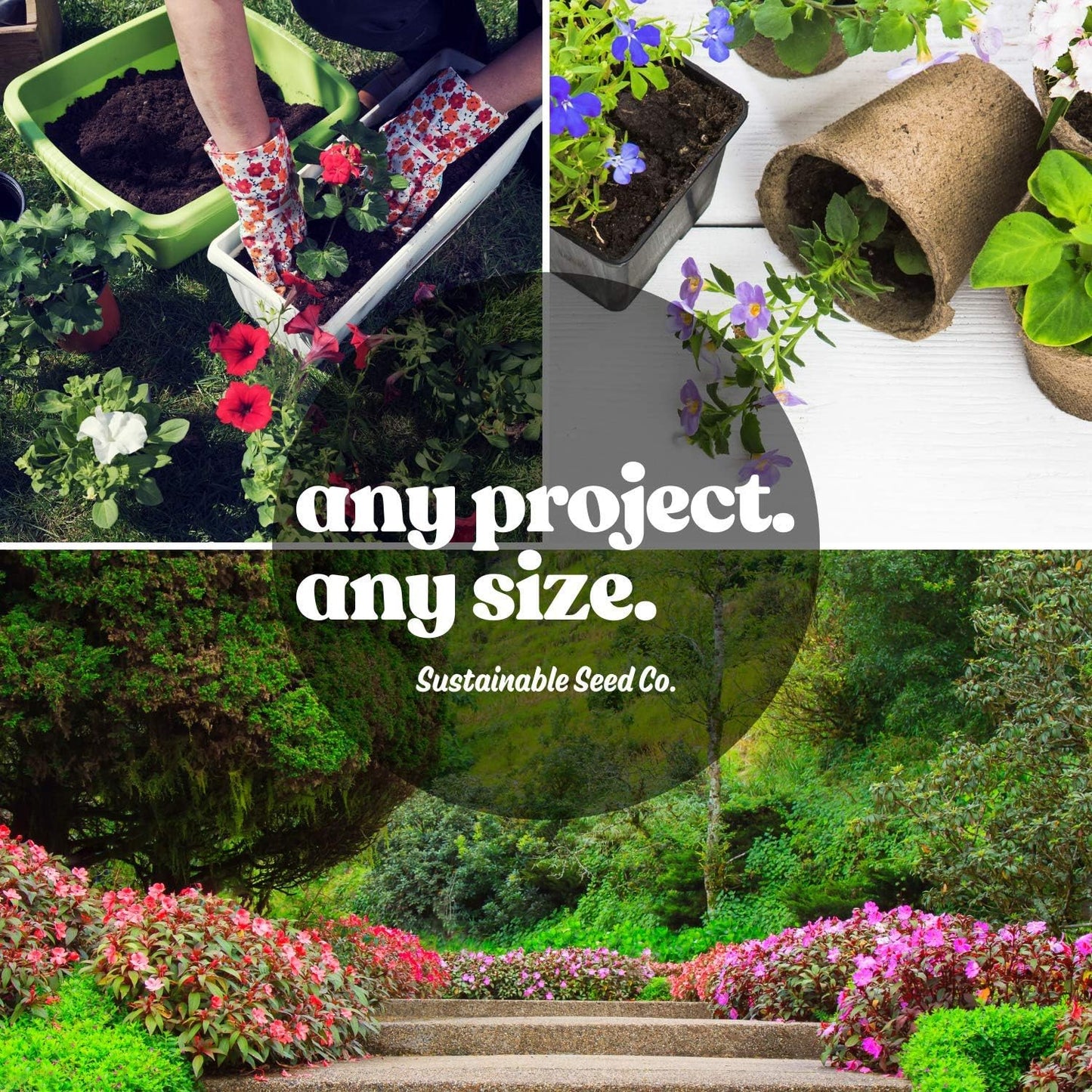 Pollinator Wildflower Seeds Bulk – 1 lb, 640,000+ Seeds – 23 Variety Mix for Hummingbirds & Butterflies – Non-GMO Annual & Perennial Flower Seed for Planting