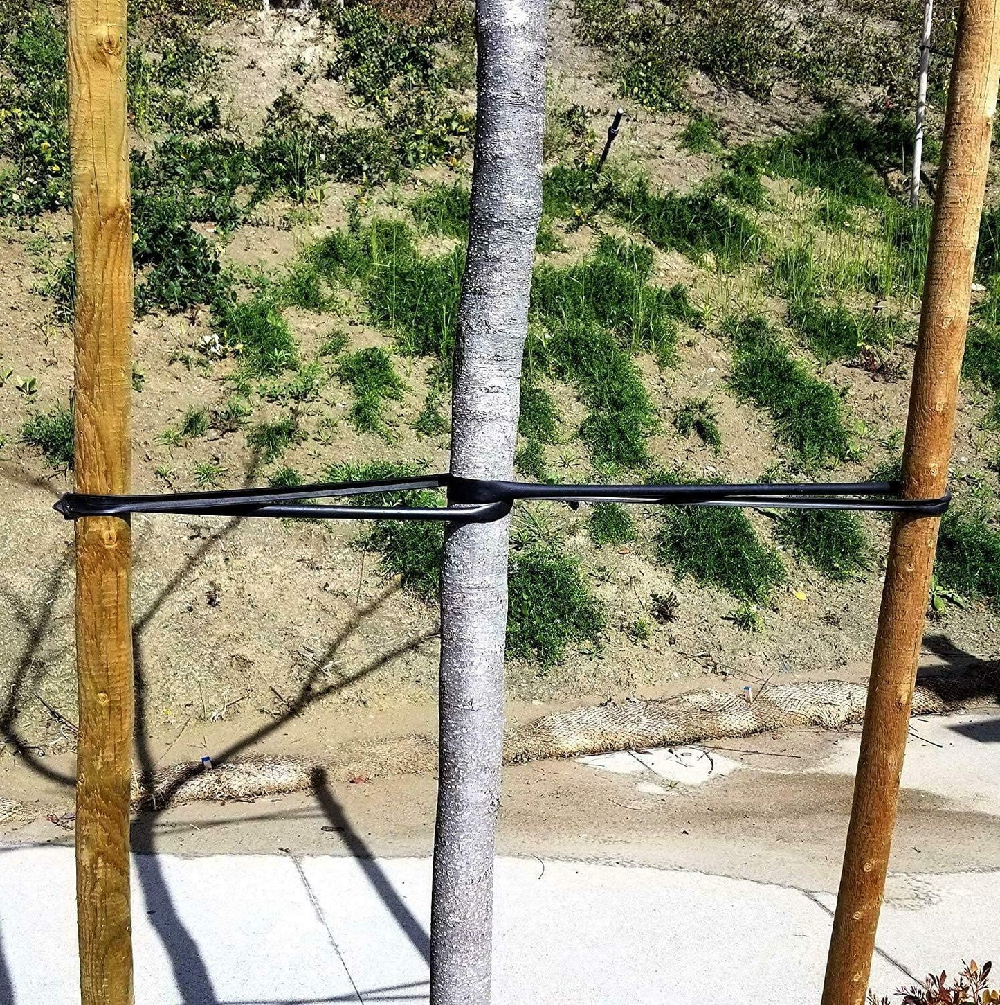 One Stop Outdoor 32" USA Made - (10-Pack) Universal Tree Ties - Professional Gardener Style Self Locking Straps Includes Nails (10-Pack)