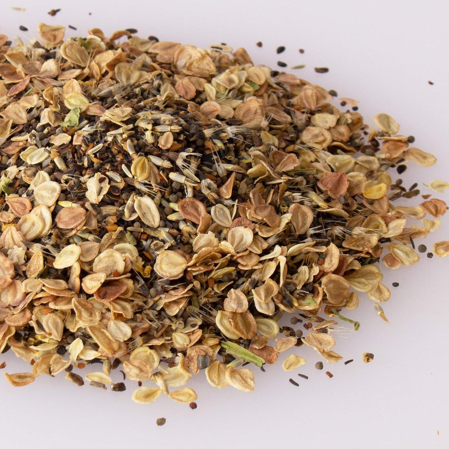 Wildflower Seeds - Rocky Mountain Mix, 2 oz (80,000+ Seeds) – 18 Non-GMO Varieties – Bulk Pollinator-Friendly Blend for Planting