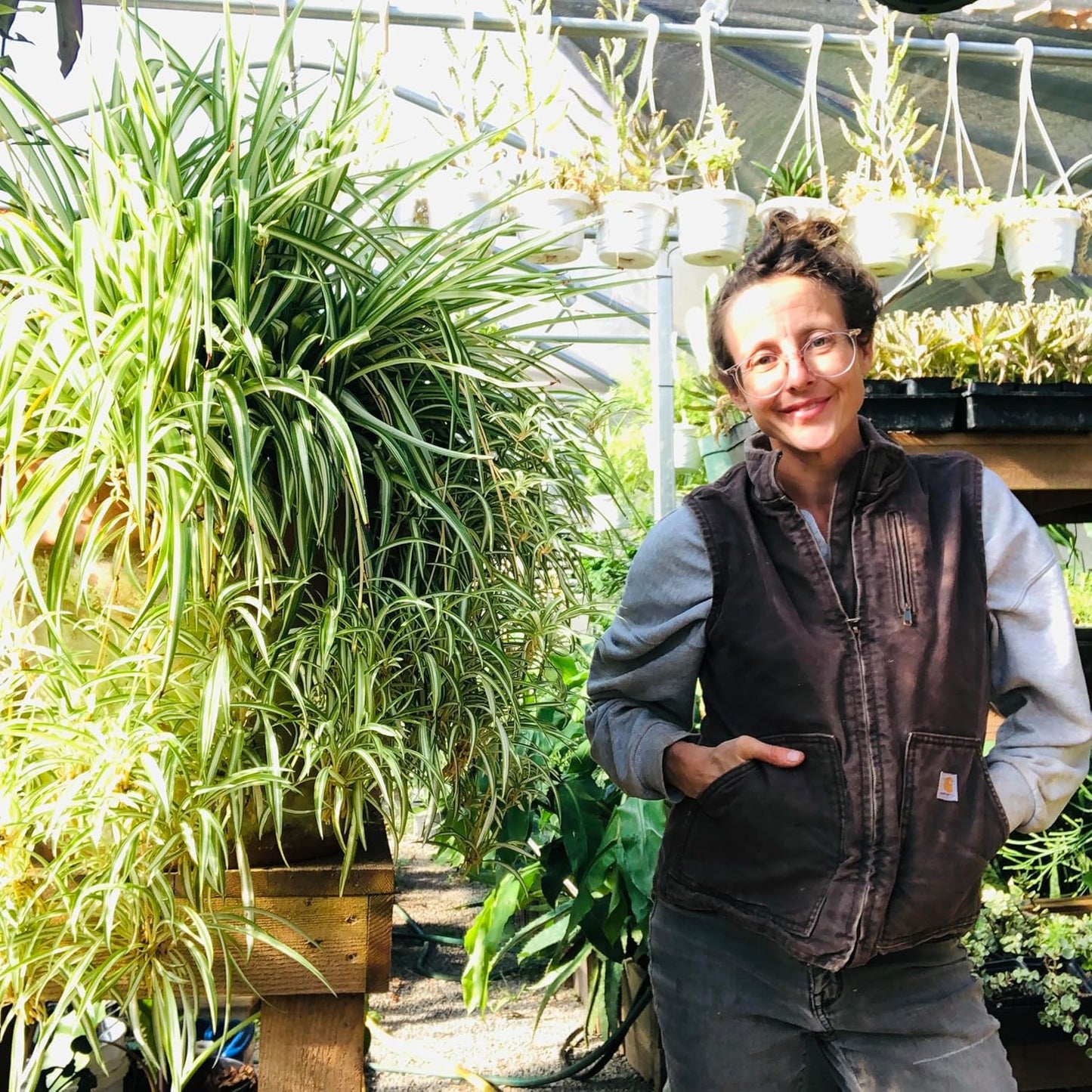 Smoke Camp Crafts 7 Live Plant Cuttings for Propagation, Queen of The Night Plant, Burro's Tail, Pencil Cactus, Spider, Snake, Mother of Thousands Green