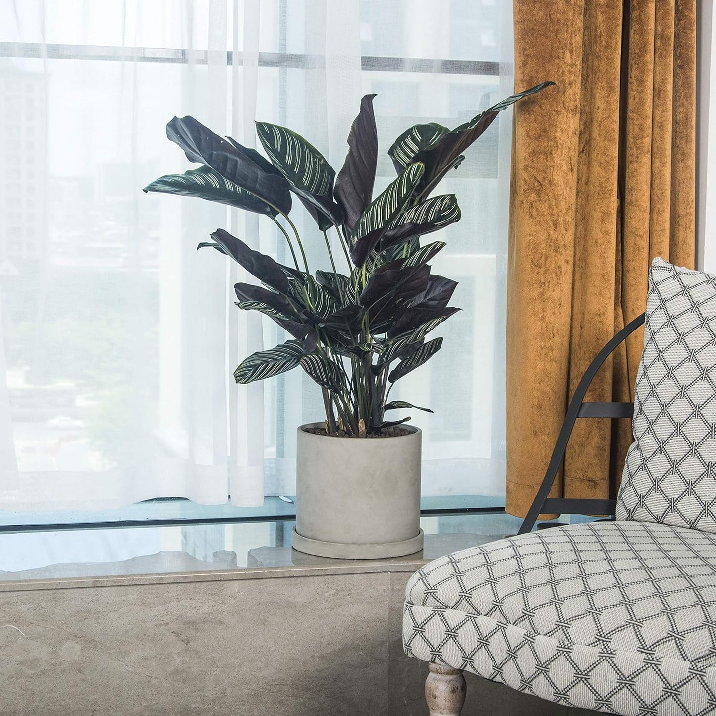 Ekirlin 6 Inch Flower Plant Pot Indoor - Grey Cement Garden Planter Concrete Planter with Drain Hole Saucer, Modern Succulents Containers for Home Decor, Office & Outdoor