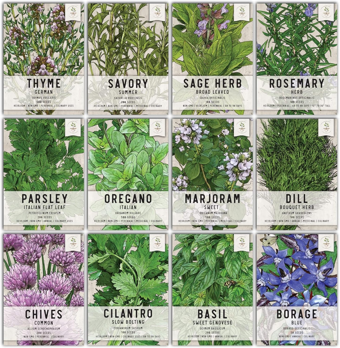 Seed Needs, Culinary Herb Seed Packet Collection Seed Starting Bundle (Includes 12 Individual Seed Packets, 36 Starter Pots & 1 Expandable Coco Coir Brick) Heirloom, Non-GMO, Untreated