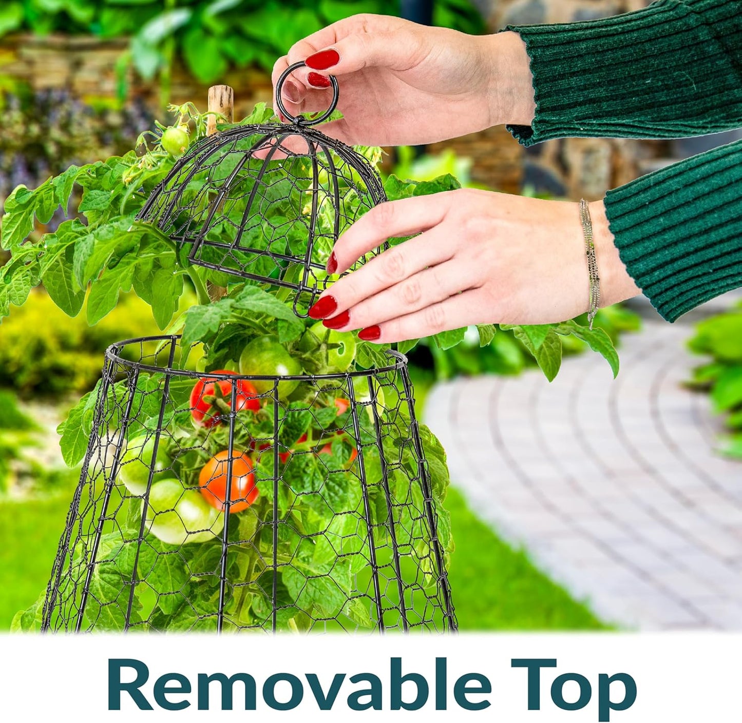 Sunnydaze Chicken Wire Plant Protector Cage - Garden Cloche with Removable Cover - 6 Pack - Protects from Rabbits and Animals