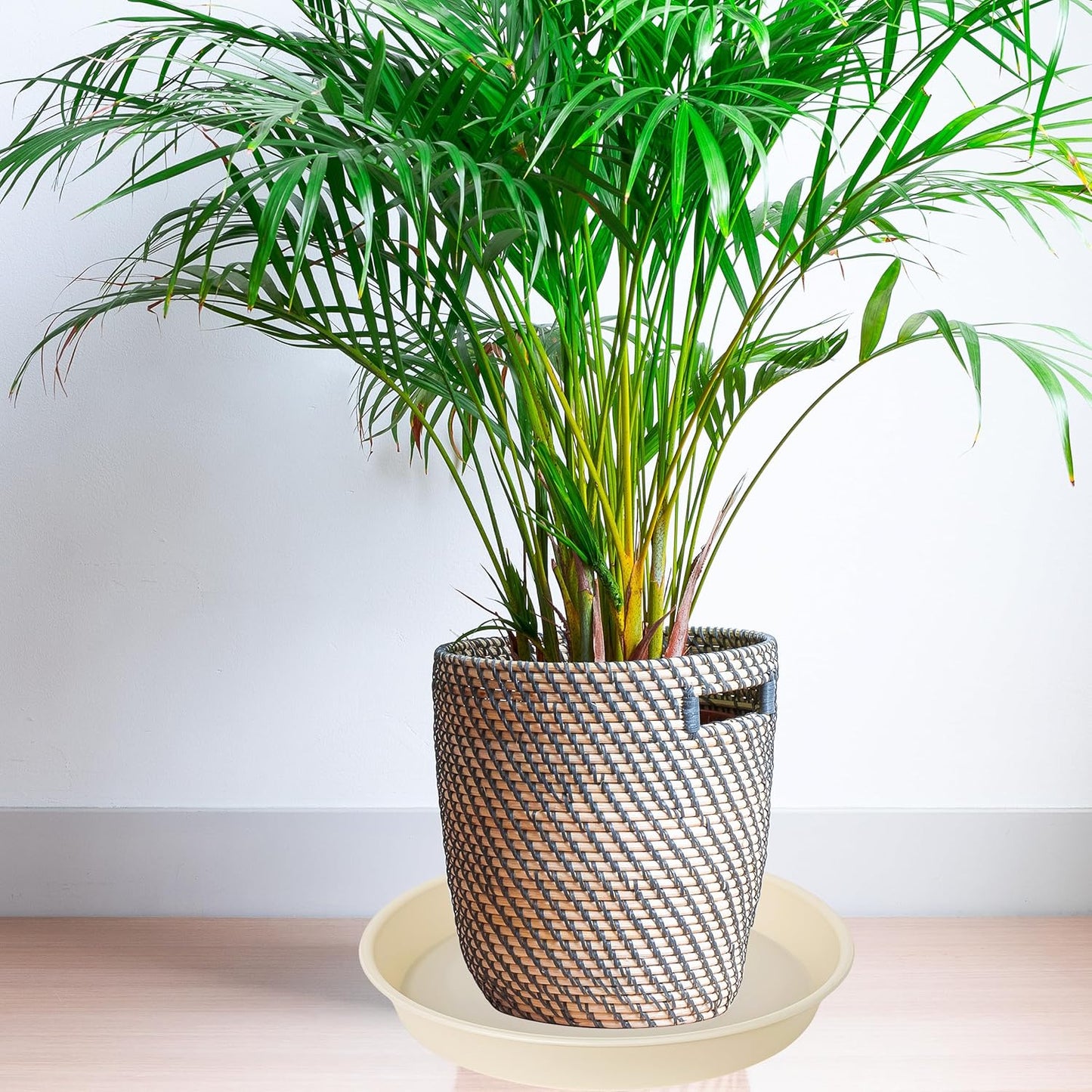 6 Pack of 12 inch Plant Saucer, Heavy Duty Plastic Plant Saucer 12" Round, Durable Plant Tray for Pots, Plant Saucers for Indoors, Plant Trays for Planter (12", Beige)