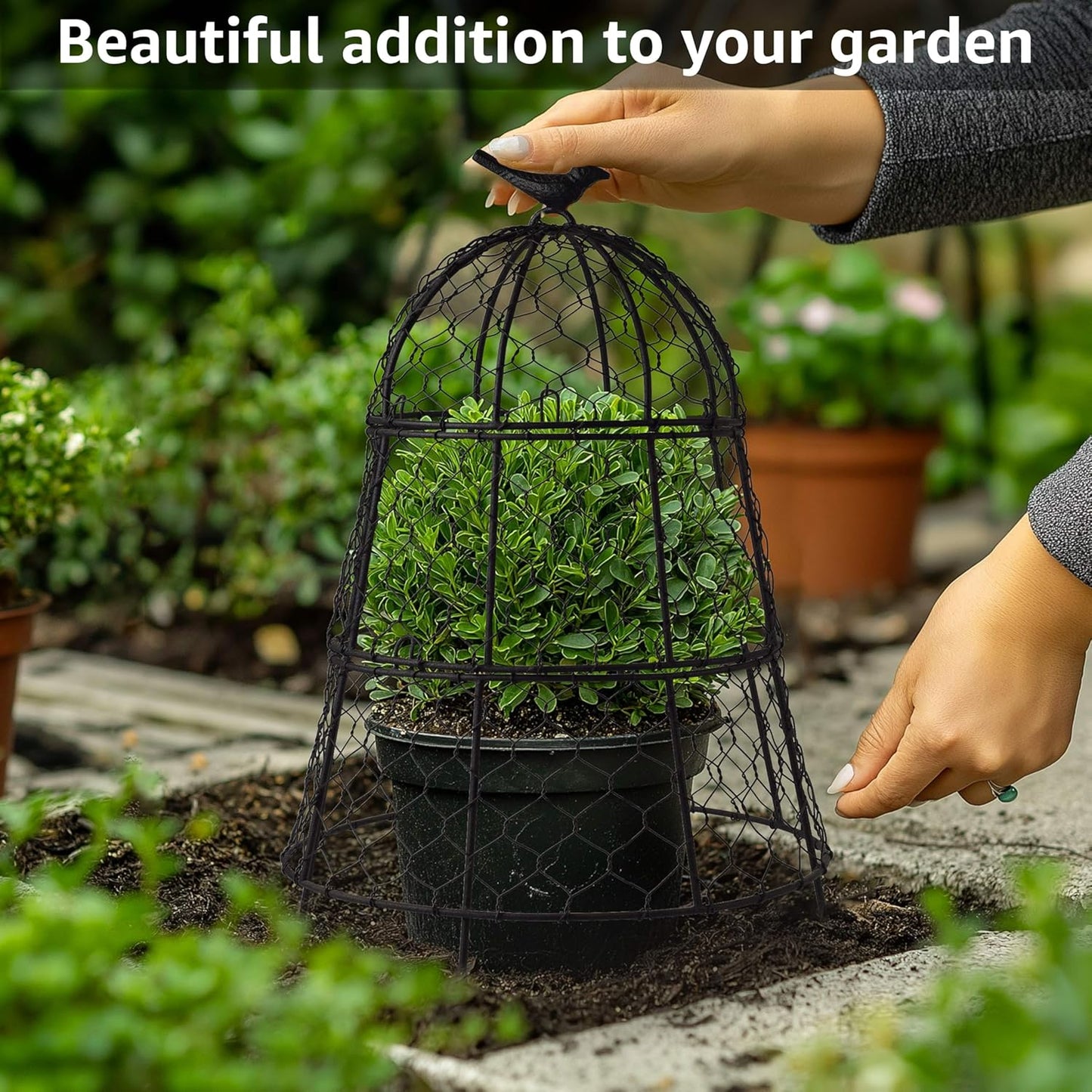 Heavy-Duty Chicken Wire Plant Cloches – Rustproof Garden Protectors and Plant Cages for Vegetables and Flowers – Safeguard Plants from Deer and Critters – 20” x 12” (Pack of 6)