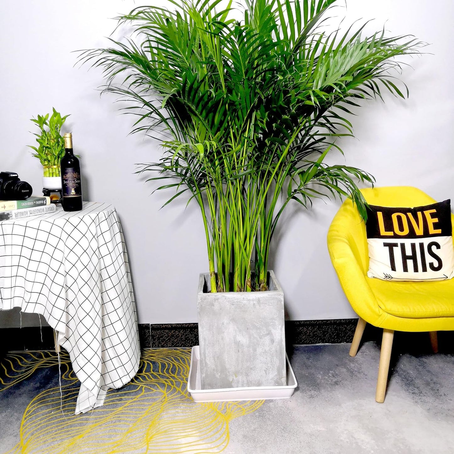 2 Pack Square Plant Saucer 18 Inch, Plastic Plant Saucer, Heavy Duty Plant Pot Saucers, Planters for Indoors and Outdoors Plants，Garden Large Deep Plant Trays for Pots.