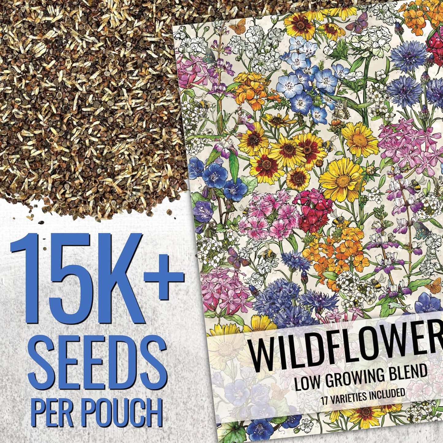 Seed Needs Low Growing Wildflower Flower Seeds for Planting | 2 Packs (1 Ounce Each) Mixture/Blend 17 Varieties | Resealable Package Multicolored Blooms Open Pollinated Mixed Species | Bulk