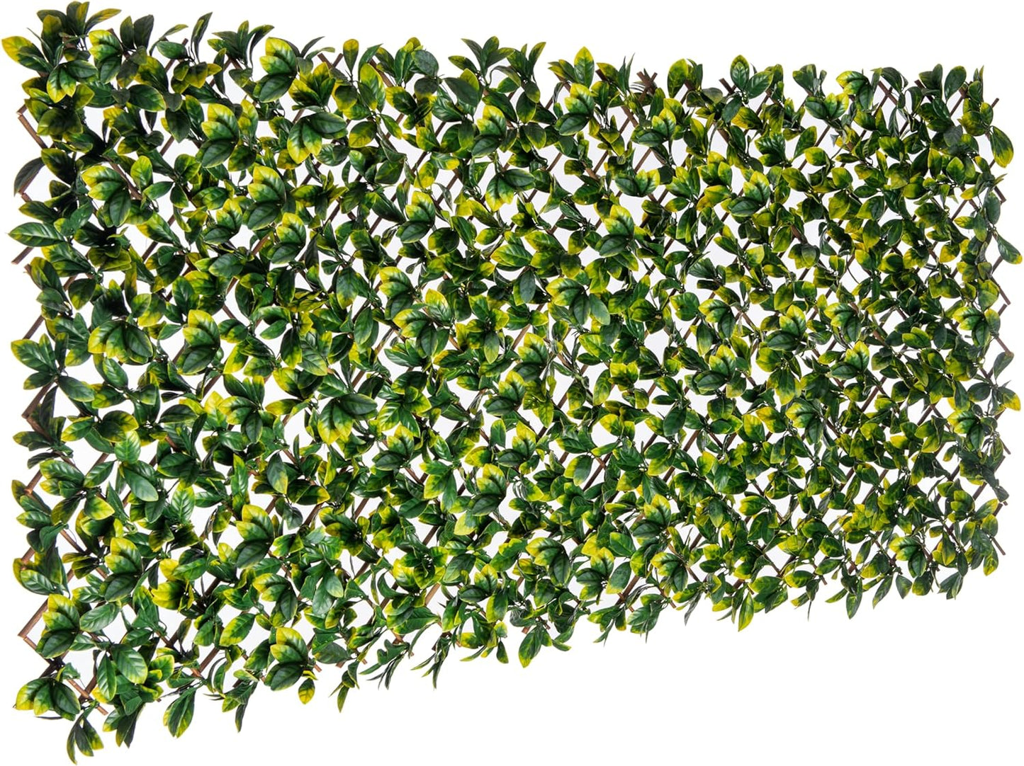 Expandable Willow Trellis - Outdoor Privacy Screen - Sturdy and Flexible - Realistic Look - 40 in x 80 in - Laurel Leaves