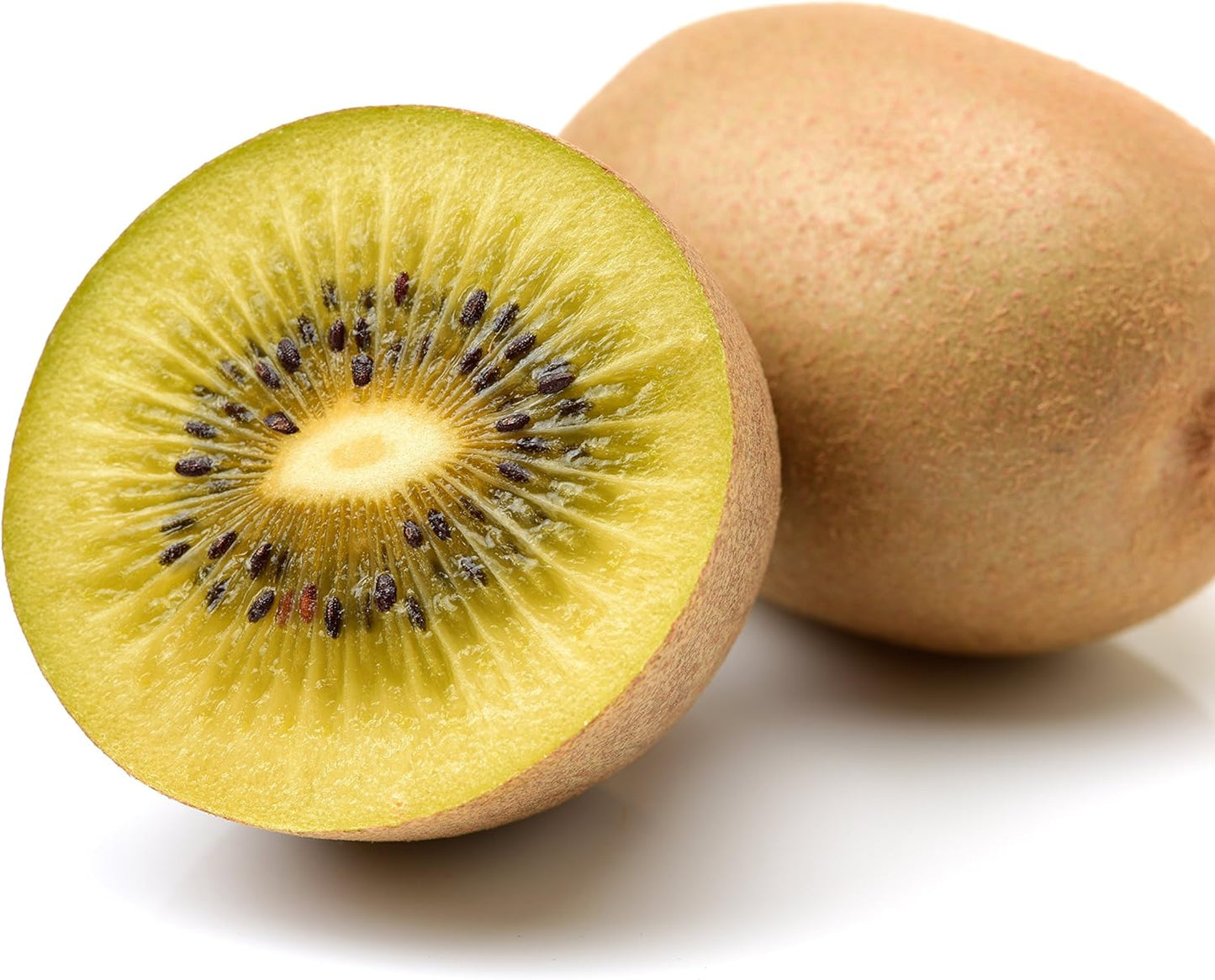 Tomuri Male Kiwi Vine Live Plant - Actinidia chinensis by Wellspring Gardens - Starter Plant Ready to Grow for Your Garden and Patio - Great Pollinator for The Vincent Female Plant to Produce Fruits